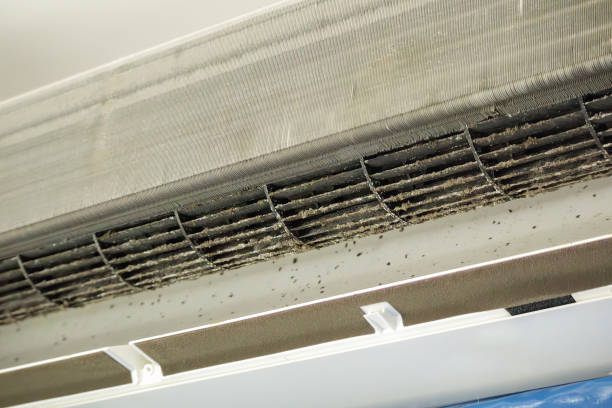 Best HVAC Air Duct Cleaning  in Elephant Butte, NM